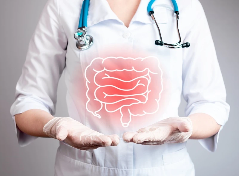 Mengenal Anatomi & Fungsi Usus Besar pada Sistem Pencernaan