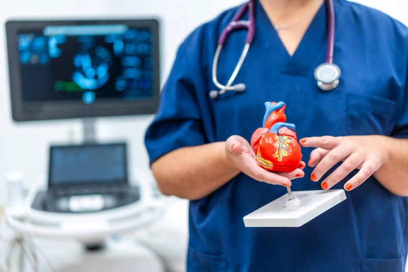 Cardiac ablation
